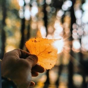 Meet your Posher, Kellie